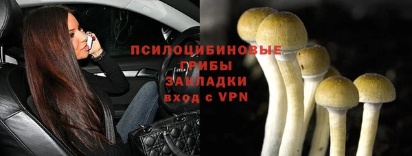 эйфоретик Абинск