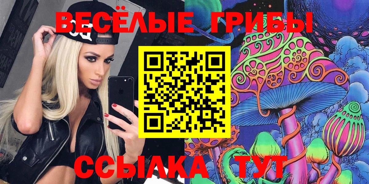Псилоцибиновые грибы Psilocybe Абинск